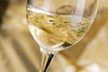 White wine Royalty Free Stock Photo