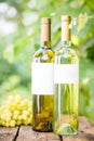 White wine Royalty Free Stock Photo