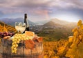 White wine with barrel on famous vineyard in Wachau, Spitz, Austria Royalty Free Stock Photo
