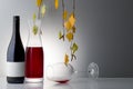 White wine bottle with autumn leaves Royalty Free Stock Photo