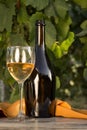 White wine bottle Royalty Free Stock Photo