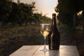 White wine bottle Royalty Free Stock Photo