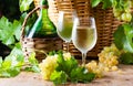 White wine bottle, two glasses, bunch of grapes in basket Royalty Free Stock Photo