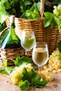 White wine bottle, two glasses, bunch of grapes in basket Royalty Free Stock Photo