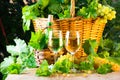 White wine bottle, two glasses, bunch of grapes in basket Royalty Free Stock Photo