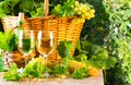 White wine bottle, two glasses, bunch of grapes in basket Royalty Free Stock Photo