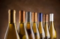 White wine bottles Royalty Free Stock Photo