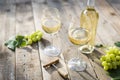 White wine Royalty Free Stock Photo