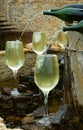 White wine fountain Royalty Free Stock Photo