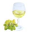 White wine in glas and grapes brush, watercolor, isolated Royalty Free Stock Photo