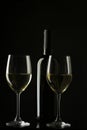 White wine glass Royalty Free Stock Photo