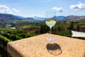 White wine glass against vineyard fields Royalty Free Stock Photo