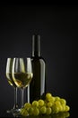 White wine and glass and grapes Royalty Free Stock Photo