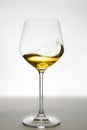 White wine glass on gray background. Moving liquid, splash and swirl. Royalty Free Stock Photo