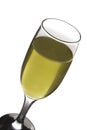 White wine glass isolated Royalty Free Stock Photo