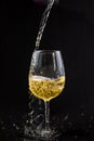 White wine glass, spilled wine, studio lighting Royalty Free Stock Photo
