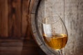 White wine in glass Royalty Free Stock Photo