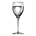 White wine glass