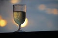 WHITE WINE IN A GLASS AT SUNSET Royalty Free Stock Photo