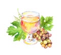 White wine glass with vine leaves, grape berries. Watercolor