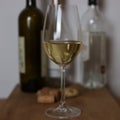 White wine glass wine bottle Royalty Free Stock Photo