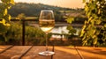 White wine glass on wooden table, winery view. Elegant, atmospheric, and premium winemaking concept. Perfect for wine culture