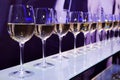 White wine glasses Royalty Free Stock Photo