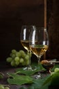 White wine in glasses. Glasses stand on a dark table next to the grape leaves and green grapes. Honeycombs stand in the background