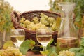 White wine and grape in vineyard Royalty Free Stock Photo