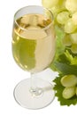 White wine & grapes