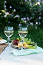 White wine and light snacks, Grapes, wine, cheese, pie. Royalty Free Stock Photo