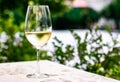 White wine in luxury restaurant on summer garden terrace, wine tasting experience at winery in the vineyard, gourmet Royalty Free Stock Photo