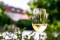 White wine in luxury restaurant on summer garden terrace, wine tasting experience at winery in the vineyard, gourmet Royalty Free Stock Photo