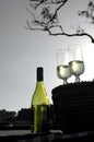 White Wine in the Park Royalty Free Stock Photo