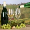 White wine pouring from bottle into wine glass in vineyards Royalty Free Stock Photo