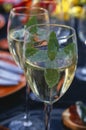 White wine, Schweppes and fresh mint cocktail Royalty Free Stock Photo