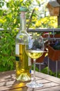 White wine served in garden