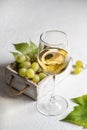 White wine still life with grapes in rustic wooden box on white background with text space Royalty Free Stock Photo