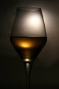 White Wine Still-Life Royalty Free Stock Photo