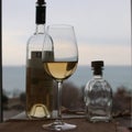 White wine table spring sea wine glass