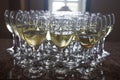 White Wine Tasting by the Vineyard Royalty Free Stock Photo