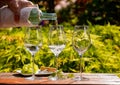 White wine tasting on winery, pouring of cold dry wine in glasses outdoor in sunny day Royalty Free Stock Photo