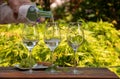 White wine tasting on winery, pouring of cold dry wine in glasses outdoor in sunny day Royalty Free Stock Photo