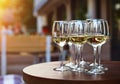 White wine tasting on winery terrace, pouring of cold dry wine in glasses outdoor in sunny day Royalty Free Stock Photo