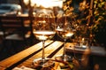 white wine and wine pairings Royalty Free Stock Photo