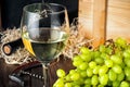 White wineglass and white yellow green bunches of berry grapes with bottle