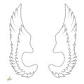 white wings angel bird black and white drawing new