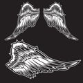 White Wings Bird feather on black background  Tattoo Vector Royalty Free Stock Photo