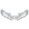 White Wings with clipping path