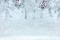 Christmas tree branches with cone under white snow Royalty Free Stock Photo